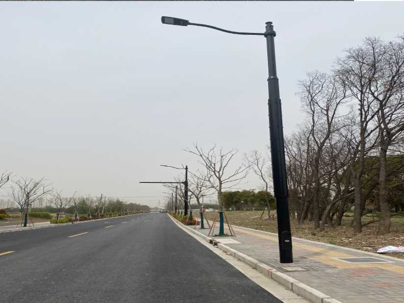 通渭县上海综合杆 太阳能路灯工程